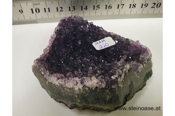 Amethyst Drusenstück  Uruquay